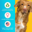 Dog with eco-positive, women-owned, and made-in-Des Moines, Iowa branding on a blue and yellow background.