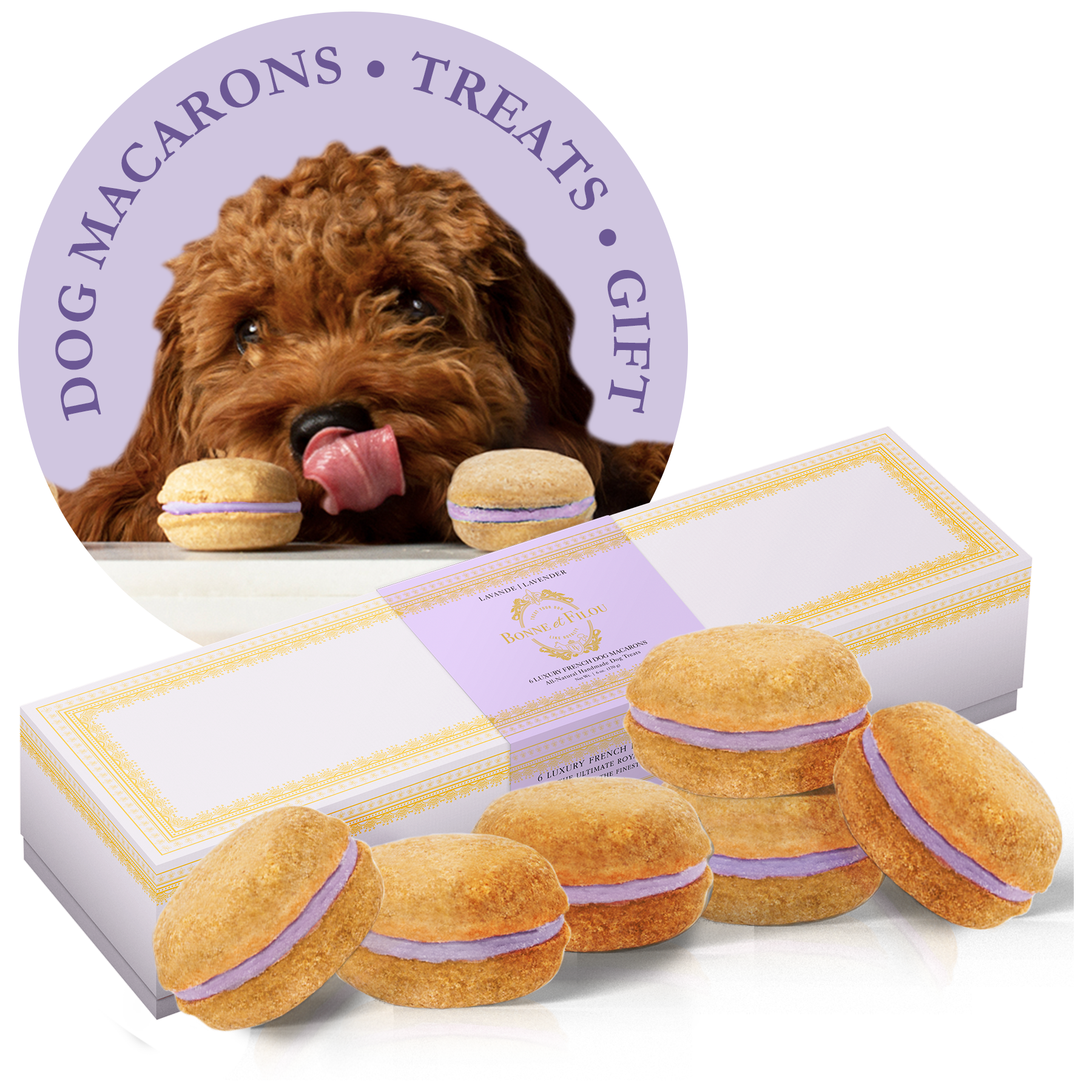 Dog macarons with a box and a small inset of a dog with a macaron.