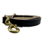 Black leather dog leash with brass clasp on a white background