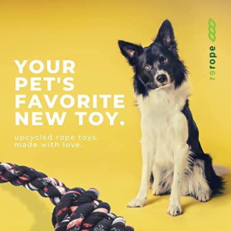 Dog sitting next to upcycled rope toys with a yellow background and 'rope' branding.