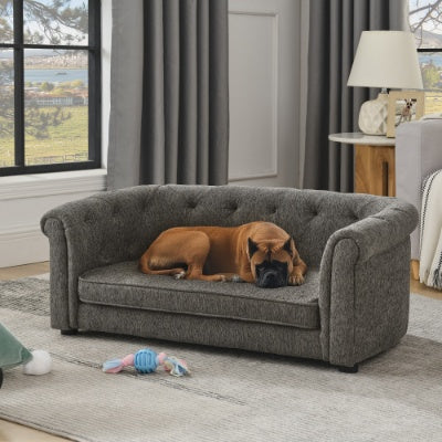 Dog lying on a gray sofa in a living room with curtains and a lamp in the background.