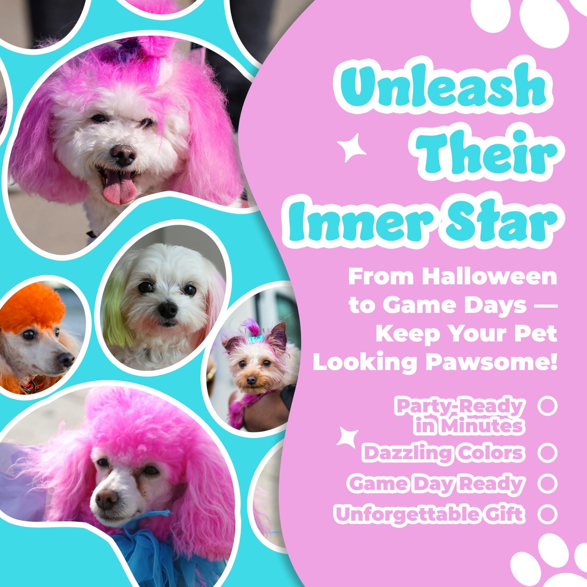Dog Hair Dye  8 Color Dog Safe Hair Dye  Dog Dye Non Toxic - Nose n Paws Pet Shop