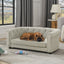 Dog lying on a beige sofa in a living room with large windows and curtains.