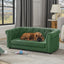 Dog lying on a green sofa in a living room with large windows and curtains.