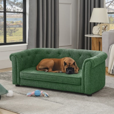 Dog lying on a green sofa in a living room with large windows and curtains.