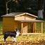 Dog standing in front of a wooden doghouse in a grassy area with trees in the background