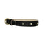 Black leather dog collar with gold accents on a white background