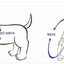 STEP IN BUNDLE - RAINBOW (5 PIECES)-1