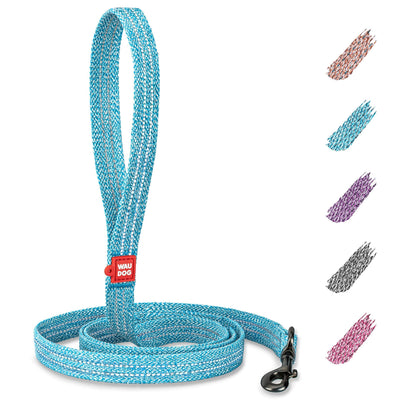 Blue dog leash with a red tag on a white background