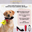 Dog with a plush shoe toy in its mouth, featuring product details on a light gray background.