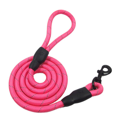 Training Rope Belt Leash – Hands-Free Control for Active Dog Walks &amp; Training

Upgrade your dog-walking experience with our Training Rope Belt Leash, designed for hands-free comfort and maximum control. Whether you're out jogging, hiking, or training your pup, this durable rope leash with adjustable belt keeps your hands free and your dog securely by your side.

Crafted from heavy-duty climbing rope, it’s strong enough for pullers and active dogs, while the padded belt ensures a snug, bounce-free fit fo