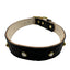 Black leather dog collar with gold studs on a white background