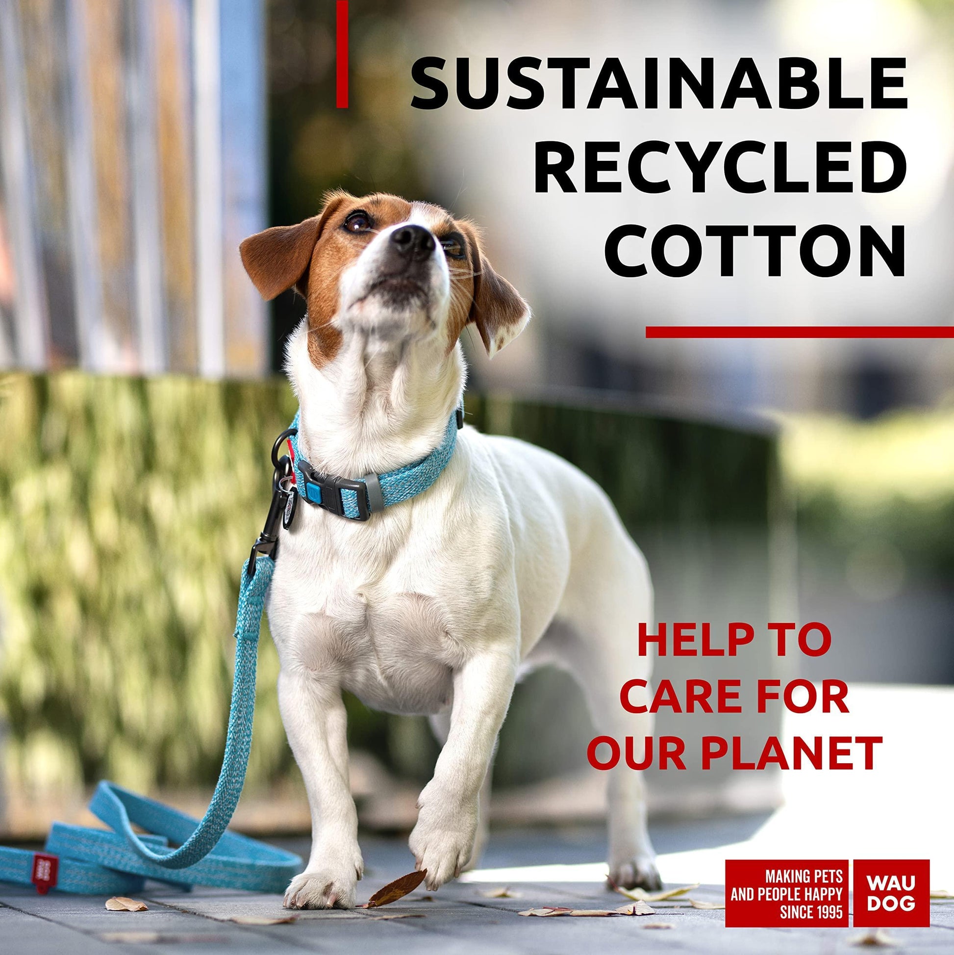 Dog on a leash with 'Sustainable Recycled Cotton' text and Wau Dog logo.