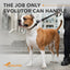 Dog on a leash with text 'The job only Evoluter can handle' and the Evoluter logo.