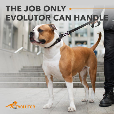 Dog on a leash with text 'The job only Evoluter can handle' and the Evoluter logo.