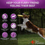 Dog catching a frisbee with health benefits listed on a dark background, featuring the Vet Promise brand.