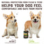 Before and after comparison of a dog with pests and a product bottle, promoting natural protection from fleas and ticks.