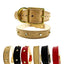 Beige leather dog collar with gold buckle and additional collars in black, red, and brown on a white background.