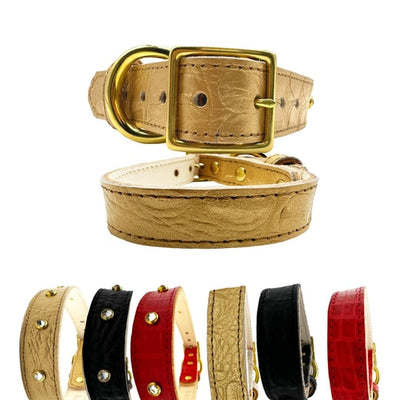 Dog collars in gold, black, and red with gold buckles on a white background