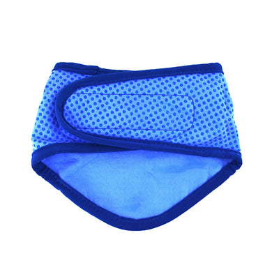 Blue pet diaper with mesh design on a white background