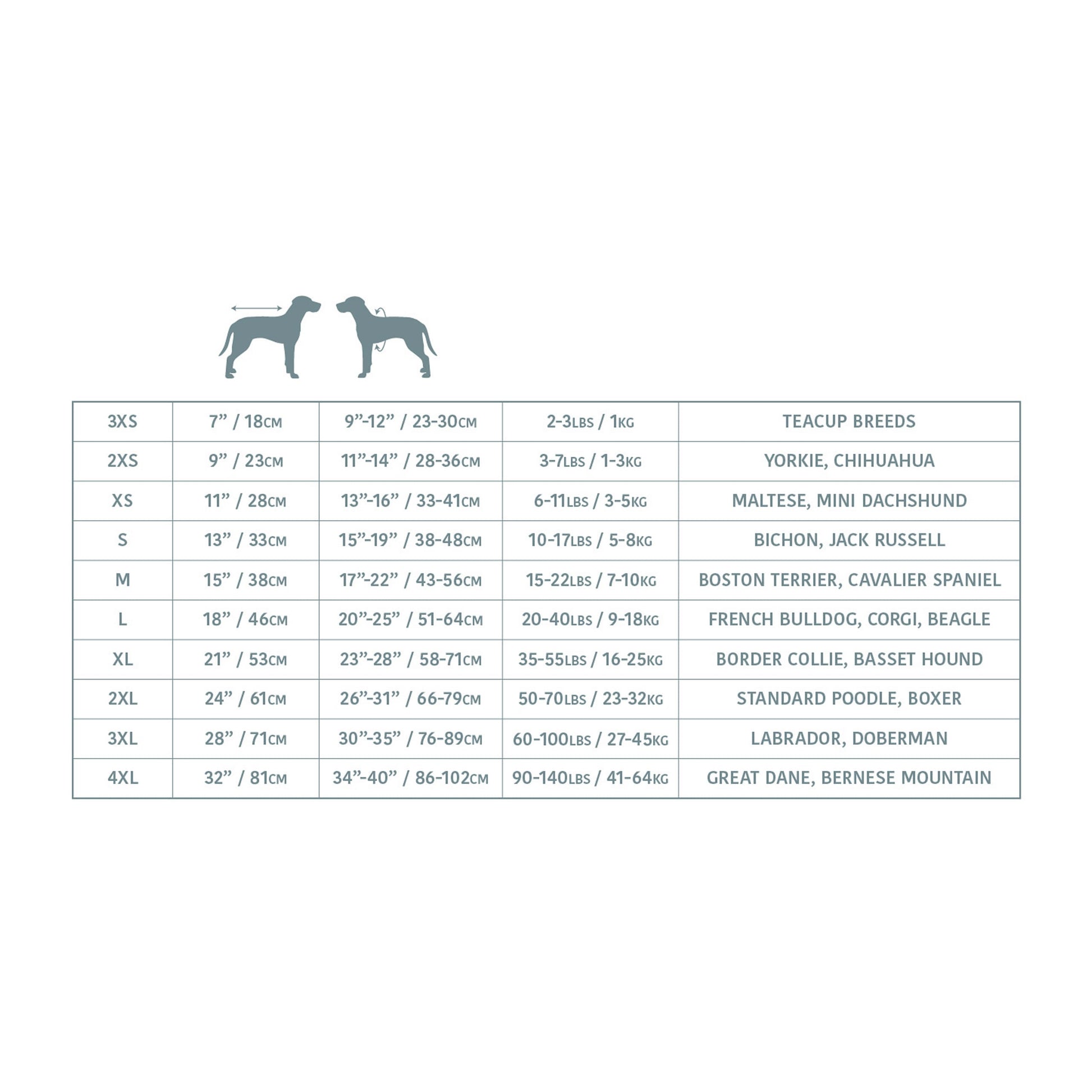 Dog size chart with breed categories on a white background