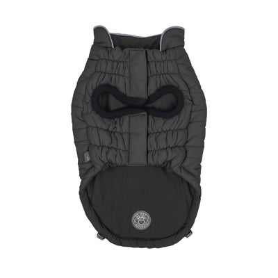 Black pet coat with a bow tie design on a white background