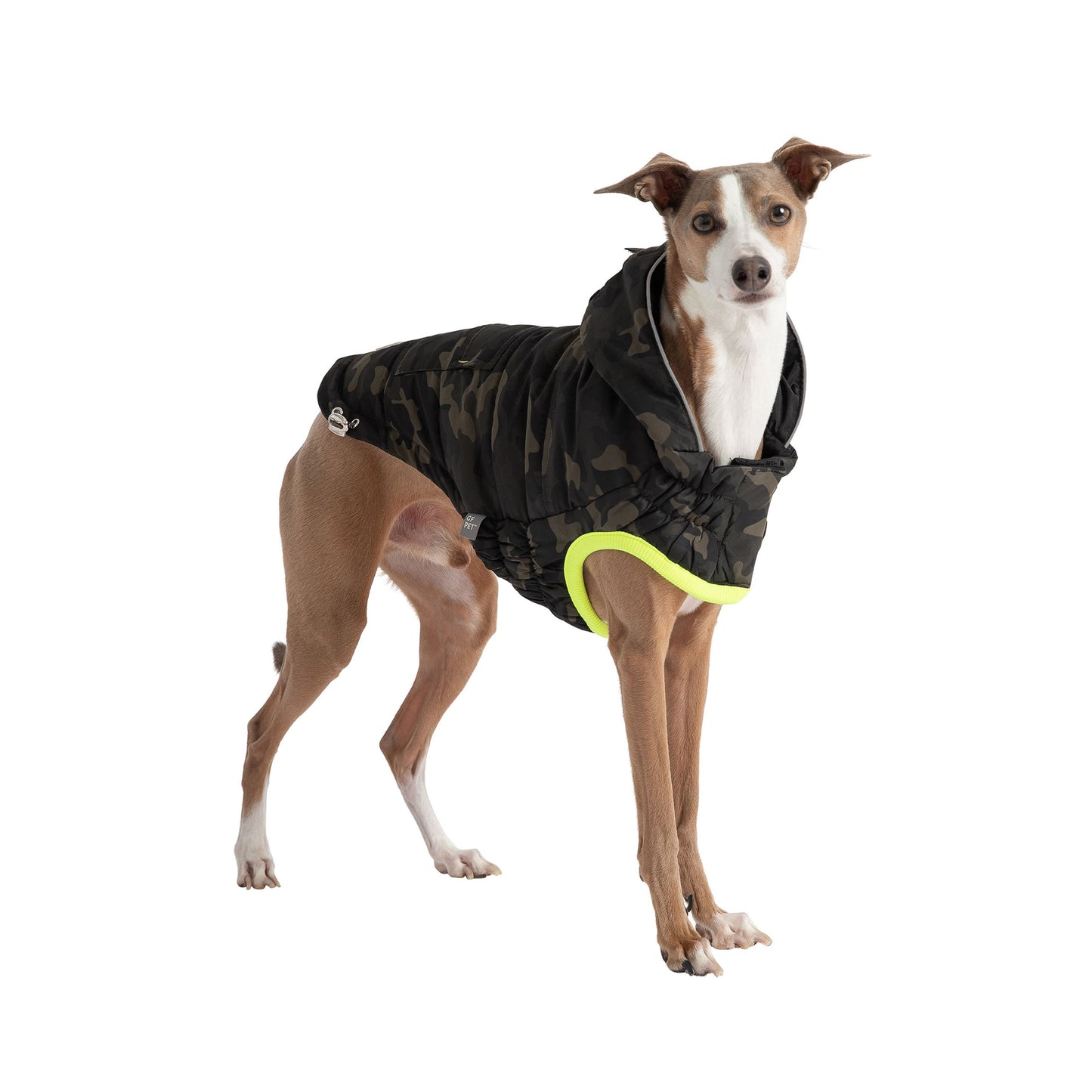 Dog wearing a camouflage coat with a yellow trim on a white background