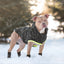 Dog wearing a camouflage coat with a yellow stripe in the snow