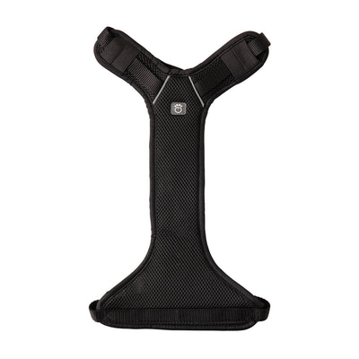 Black dog harness on a white background