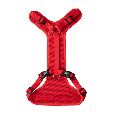 Red dog harness on a white background