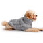 Dog wearing a gray knitted sweater on a white background