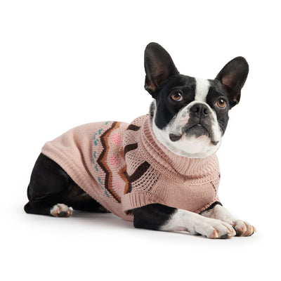 Dog wearing a pink sweater with a white background