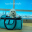 Small white dog in a teal pet carrier at an airport.