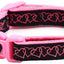 Pink and black dog collar with heart pattern on a white background