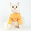 Cat wearing a yellow sweater on a white background
