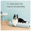 Dog lying on a large dog bed with a light blue background and text encouraging dogs to play freely.
