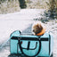 Turquoise duffel bag with a small dog inside, on a snowy path.