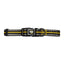 Dog collar with black and yellow pattern on a white background