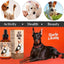 Pet hemp oil product with a dog on an orange background, featuring 'Charlie & Buddy' brand.