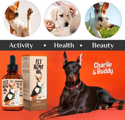 Pet hemp oil product with a dog on an orange background, featuring 'Charlie & Buddy' brand.