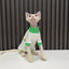 Spring And Autumn Hairless Cat All-inclusive Anti-lint Sleeved Cat Clothes - Nose n Paws
