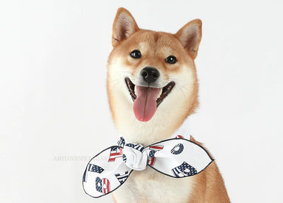 Dog wearing a bow tie with American flag design on a white background