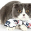 Cat wearing a decorative bow tie with a white background