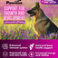 Dog standing in a field of flowers with Pawious product description text and branding.