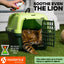 Beloved Pets Calming Pheromone Spray & Scratch Repellent for Cats - Nose n Paws Pet Shop
