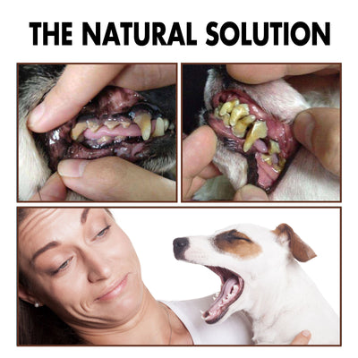 Pet Tooth Cleaning Spray – Easy Fresh Breath & Tartar Control for Dogs and Cats

Say goodbye to bad breath and plaque buildup with our Pet Tooth Cleaning Spray, the fast, no-fuss way to support your pet’s oral hygiene. Formulated with natural ingredients, this spray helps reduce tartar, plaque, and odor-causing bacteria—no brushing needed!

Just a few sprays a day directly into your pet’s mouth or water bowl can freshen breath, support healthy gums, and promote cleaner teeth. Ideal for pets who dislike toot