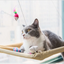 Cat on a hammock with colorful toys in a bright room