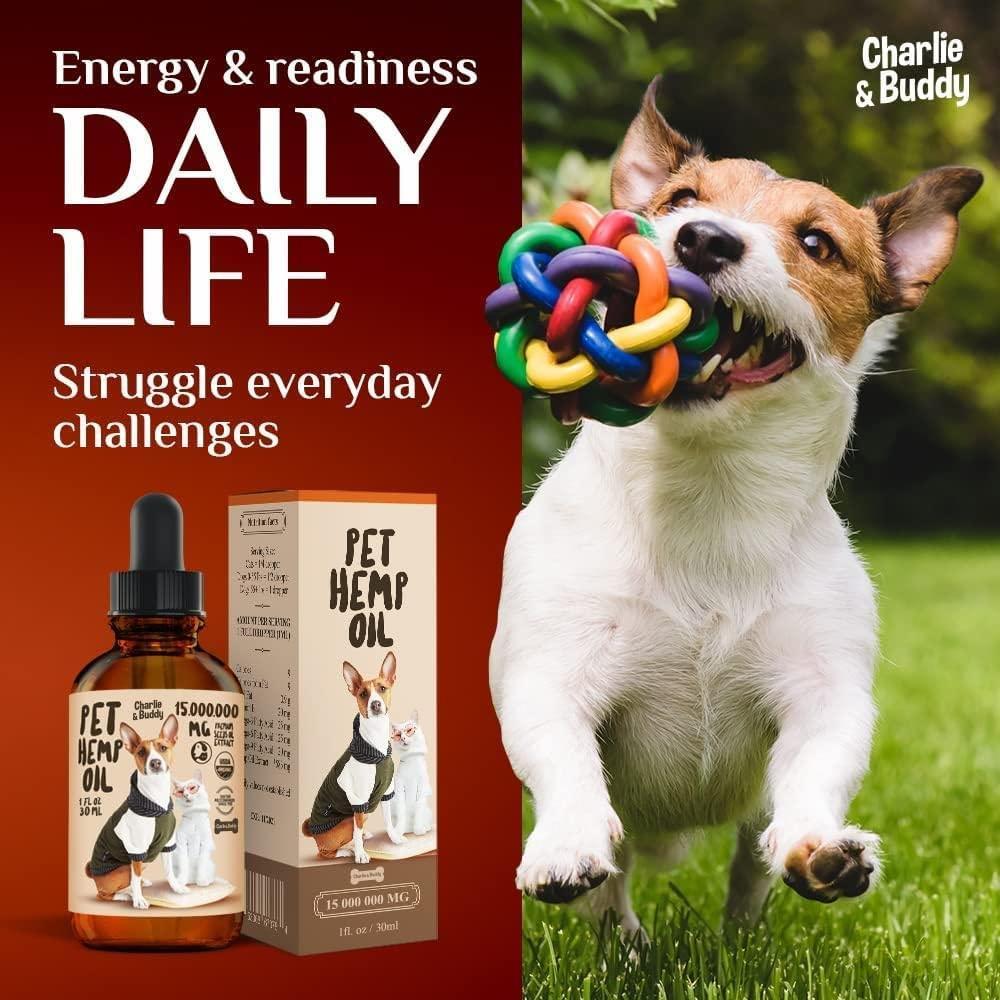 Dog playing with a toy, with Pet Hemp Oil product on a red background, featuring 'Charlie & Buddy' branding.