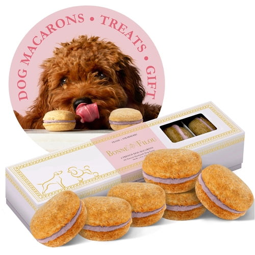 Dog macaron treats with a box and a circular inset of a dog with a macaron.