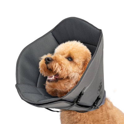 Pet Elizabethan Collar Single Layer M - Nose n Paws Pet Shop